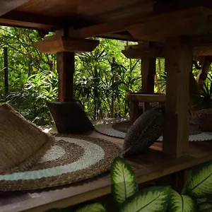 Lodge Roots Tree House 