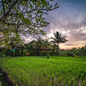 Villa Bliss Luxury