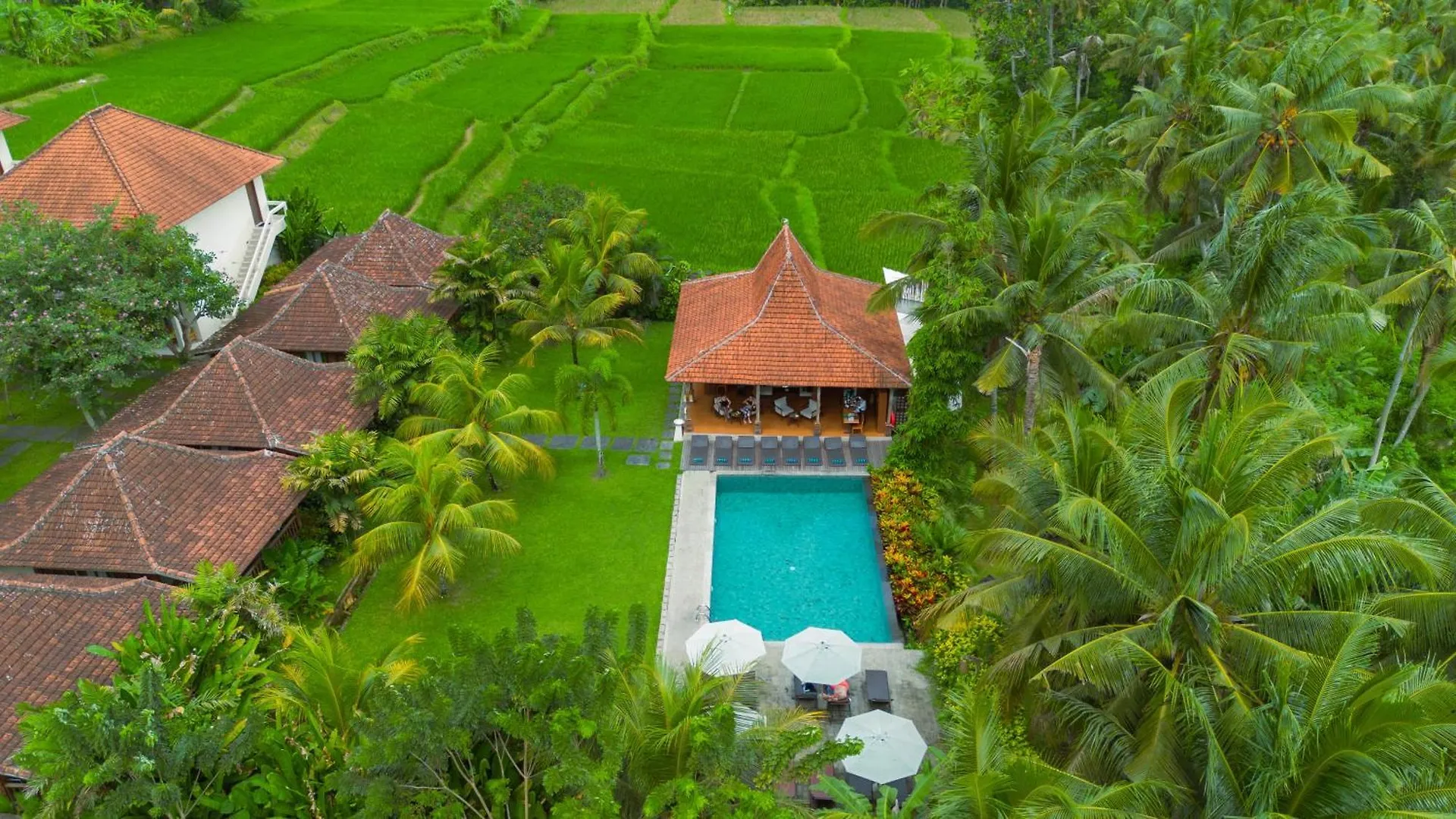 Pertiwi Bisma Ubud Otel